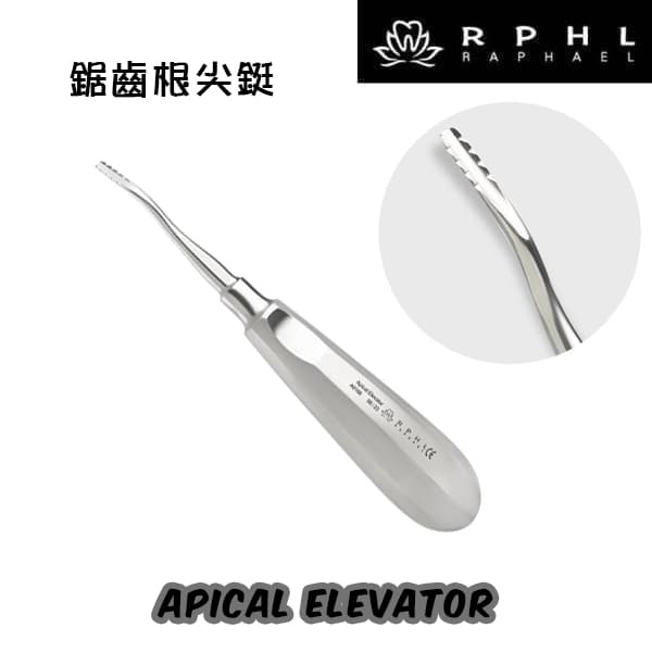 【特價600】鋸齒根尖鋌 Apical Elevator
